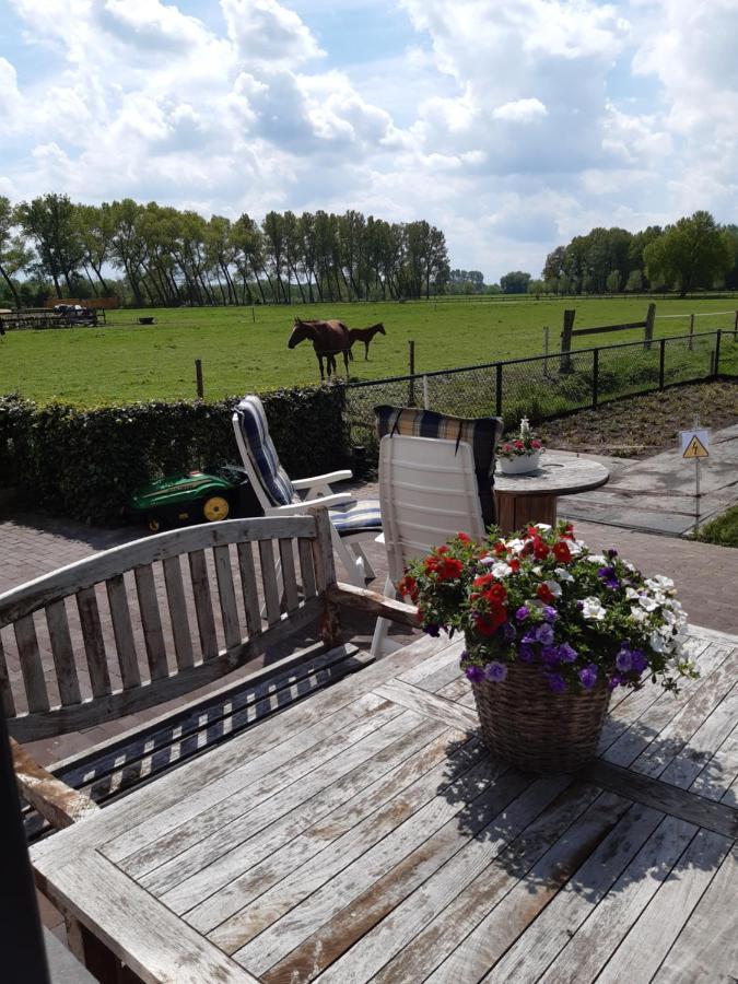 De Weije Wereld Bed and Breakfast Sint-Oedenrode Exteriör bild